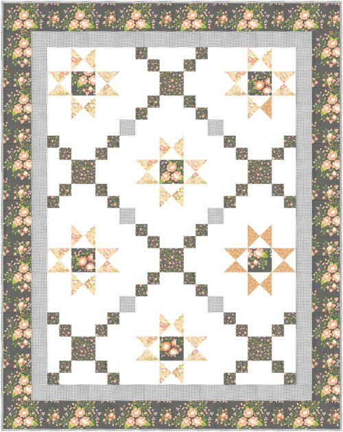 Star Gazer Delight quilt shown in crib size.