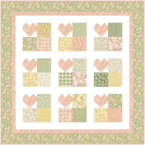 Love Grows Here quilt in baby size